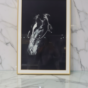 Cuadro Caballo Elegante en Blanco y Negro 60x90